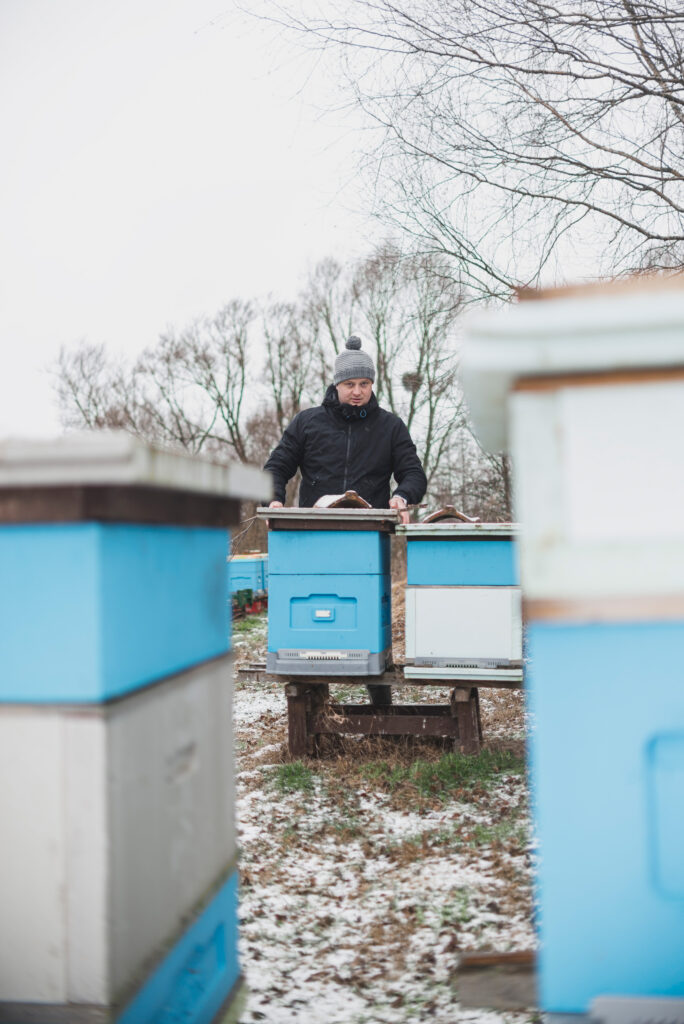 Poland, Żabin, 20 February 2023

Radosław, a beekeeper with over 20 years of experience, among the hives.

The apiary he co-runs is a rather small family business, although with about 150 hives, it is - together with his brother - one of the largest local honey producers. His observations coincide with the conclusions of the research community - Varroosis is currently one of the most serious problems beekeepers are struggling with. Despite the efforts of breeders, doctors and scientists, the prognosis for disease control is poor. On the one hand, the amount of amitraz used increases Varroa Destructor's drug resistance. On the other hand, the use of more ecological or less harmful substitutes for veterinary protection products does not bring the appropriate effects, or their use is prohibited due to the lack of appropriate approvals.

Tomasz Stabiński / NOOR